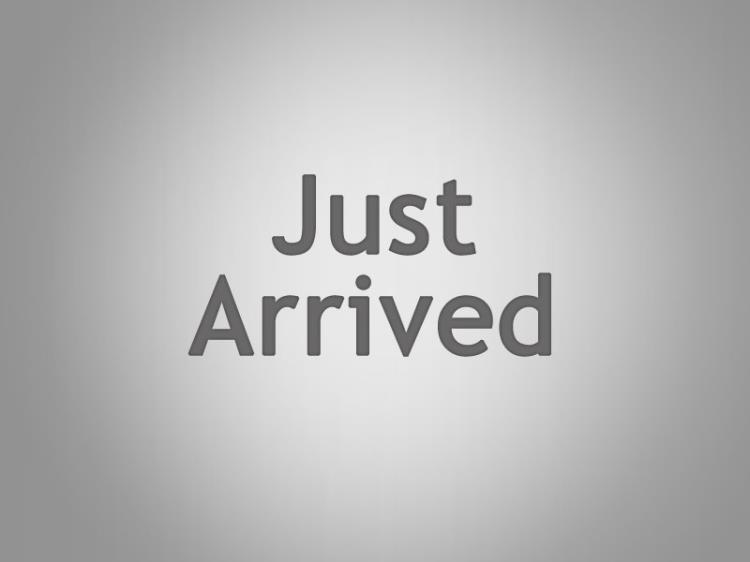 2013 BMW X1 Wagon sDrive18d E84 LCI MY0713